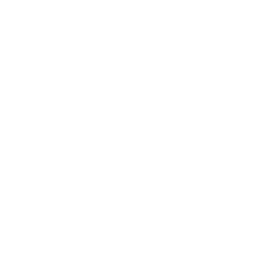 valentinodioro.com